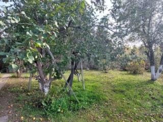 1-этажный дом, 58.5 м², 15.99 соток