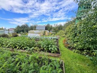 1-этажный дом, 26 м², 8 соток