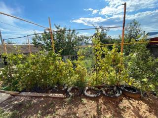 2-этажный дом, 140 м², 12 соток