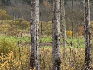  дом, 92 м², 6 соток