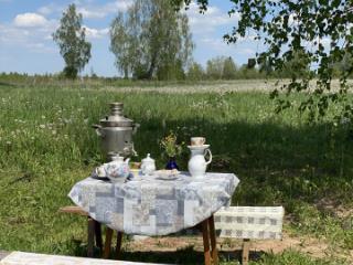 1-этажный дом, 25.3 м², 37 соток