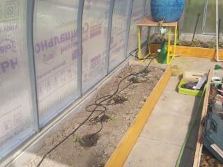  дом, 36 м², 8.8 соток