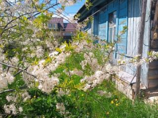 1-этажный дом, 40 м², 12.5 соток