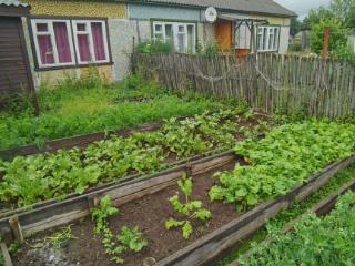  дом, 76.6 м², 15 соток