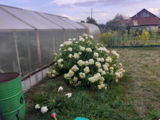 1-этажный дом, 173 м², 9 соток