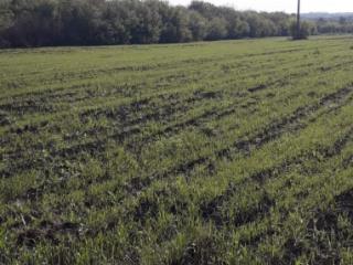 1-этажный дом, 52 м², 50 соток