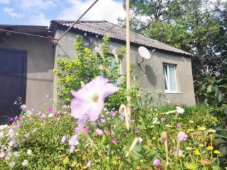 1-этажный дом, 48.2 м², 10 соток