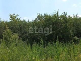 1-этажный дом, 55.1 м², 36 соток