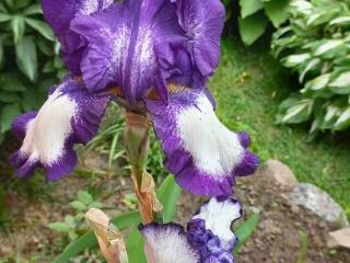 1-этажный дом, 56.4 м², 8.5 соток