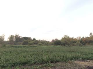 2-этажный дом, 60 м², 42 сотки