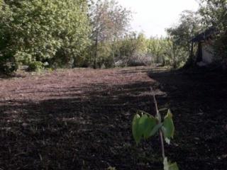 1-этажный дом, 52 м², 50 соток