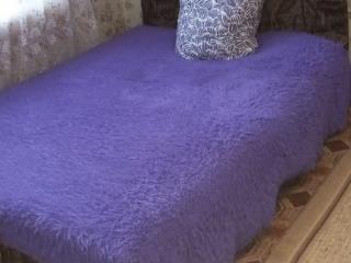  дом, 30 м², 25 соток