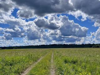  дом, 71 м², 32 сотки