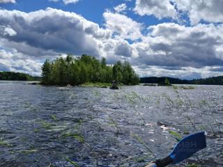 2-этажный дом, 110 м², 16 соток