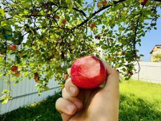 2-этажный дом, 70 м², 7 соток