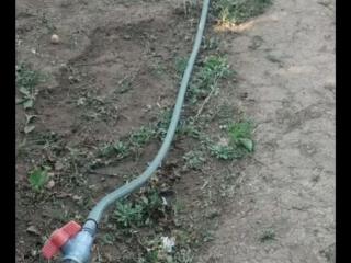  коттедж, 35 м², 6 соток