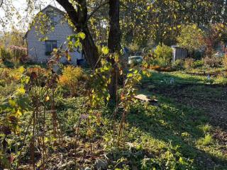  коттедж, 20 м², 11.8 соток