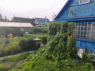 1-этажный дом, 25 м², 5 соток