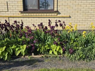 2-этажный дом, 144 м², 7.5 соток