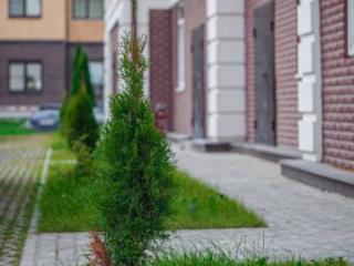 3-этажный таунхаус, 187 м², 2 сотки