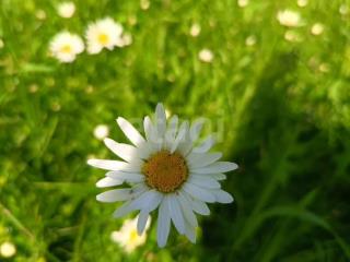  коттедж, 633 м², 6.3 соток