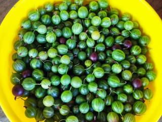  коттедж, 40 м², 6 соток