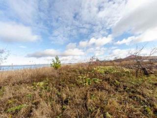 1-этажный дом, 50 м², 16 соток