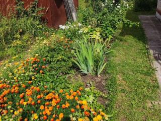  коттедж, 45.8 м², 11 соток