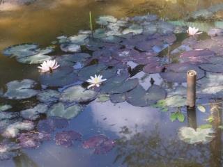 Продается земля, 10 соток