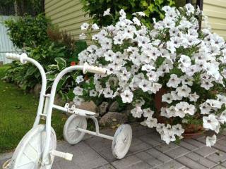  дом, 72 м², 9 соток