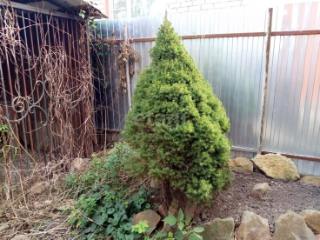 1-этажный дом, 101.4 м², 5.1 соток