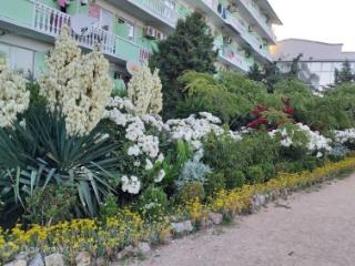 Студия, 17 м², 1/5 этаж