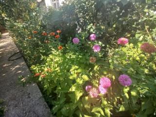 1-этажный дом, 95.1 м², 9.9 соток