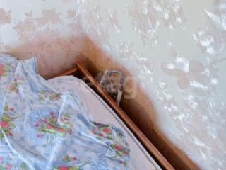 Комната, 12.7 м²