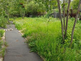  дом, 38.5 м², 15.5 соток