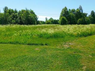  дом, 36 м², 20 соток