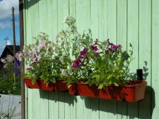  коттедж, 59.4 м², 6 соток