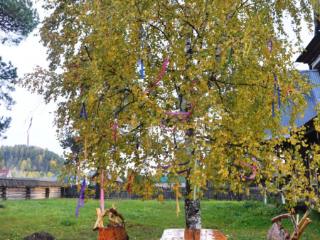 3-этажный дом, 258.5 м², 20 соток