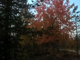 Продается земельный участок, 7 соток