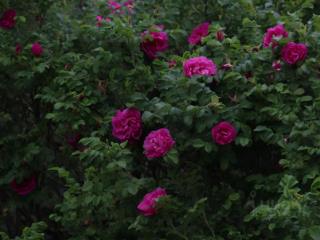 1-этажный дом, 90 м², 8 соток