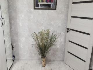  дом, 92 м², 10.2 соток