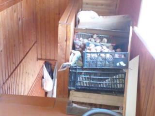  дом, 37.8 м², 6 соток