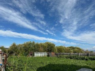 2-этажный дом, 185.4 м², 12 соток