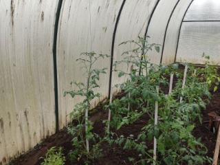  дом, 41 м², 13 соток