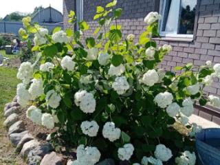 1-этажный дом, 94.5 м², 12.3 соток