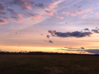  дом, 68.4 м², 7 соток