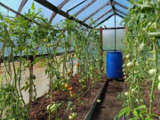 2-этажный дом, 65 м², 4.09 сотки