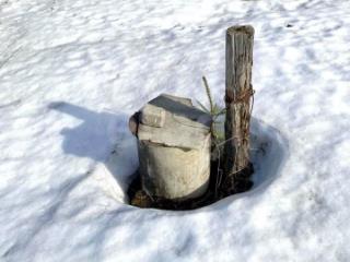 1-этажный дом, 40 м², 5 соток