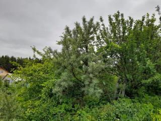 2-этажный дом, 33 м², 6 соток