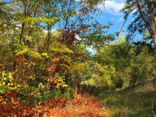 1-этажный дом, 85.4 м², 5.4 соток